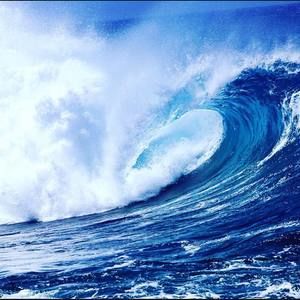 Meet your Posher, Doc